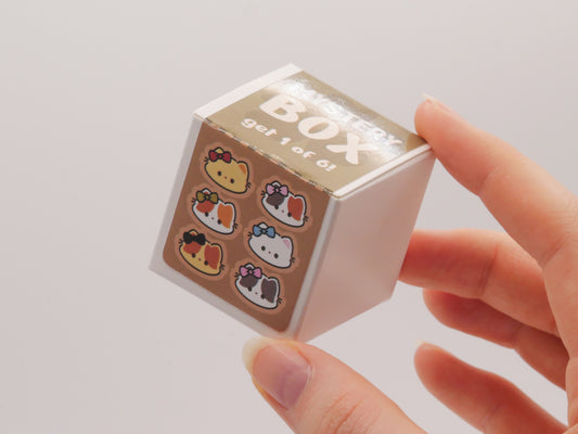 FUZZY KITTIES | Mystery Box